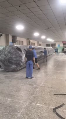 Bolsa de aire de lanzamiento duradera de buques 1m 30m Largura para operaciones de lanzamiento de buques marinos